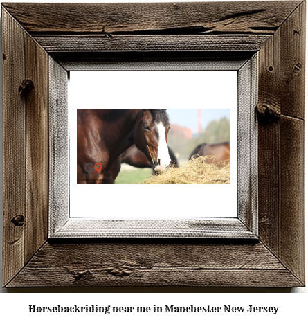 horseback riding near me in Manchester, New Jersey